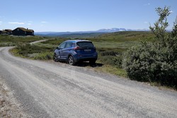 Buhovda p-lomme