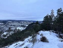 Verpenåsen