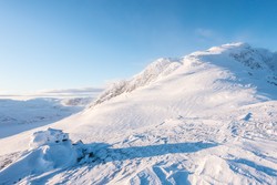 Blåbergsnuten