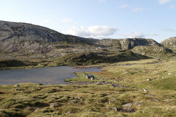 Steinbu