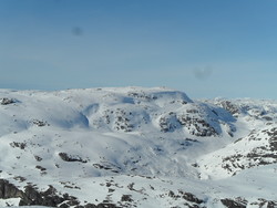 Hallahorten