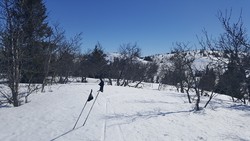 Roshaugen sørvest