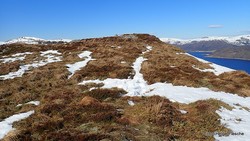 Furehovden