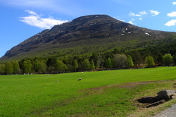 Allmannberget