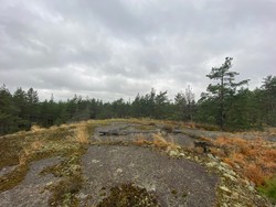 Falkberget