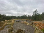 Falkberget