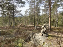 Kinnshøgda Sør