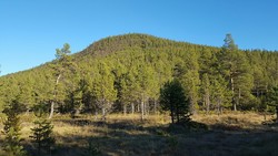Ryberget