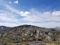 Røgjin sør