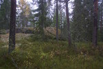 Rundvannsåsen