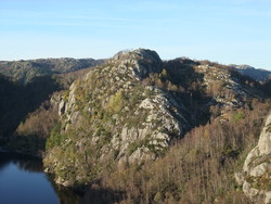 Steinullsknuten