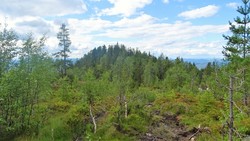 Helvetesnuten