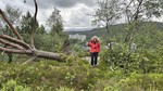 Nordåsen