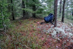 Kvisleråsen