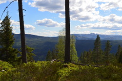 Trengsåsen Sør