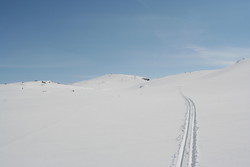 Kvernskardet