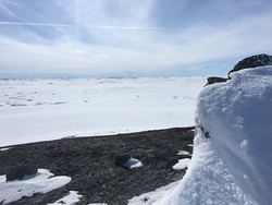 Skaupsjønuten
