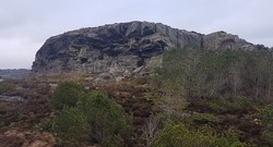 Rongaloftet