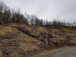 Geitberget