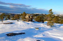 Forsnestua nordøst