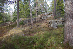 Strutsåsen