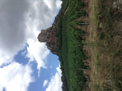 Roche de Solutré