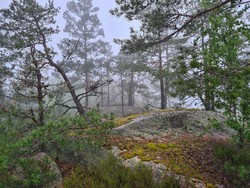 Glenås