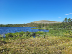 Reinfjellet