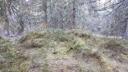 Vesleseterhøgda
