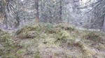 Vesleseterhøgda
