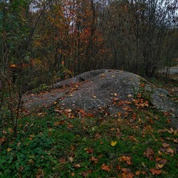 Tørtberg