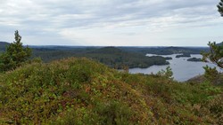 Langåsane