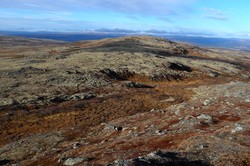 Gråhøgda