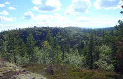 Urdsdokka