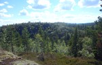 Urdsdokka