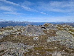 Håsethorgi