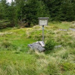 Vangsvangen
