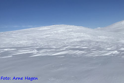 Tverrhøgda