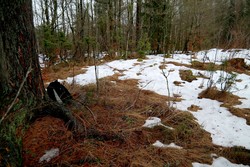 Sør for Byåsen