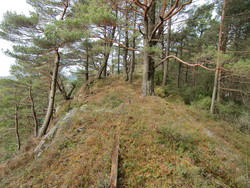 Ørnareiret