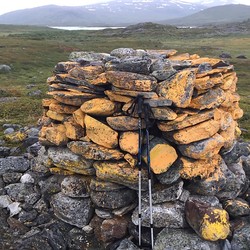 Riksrøys 263