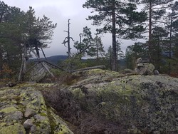 Svartåsen