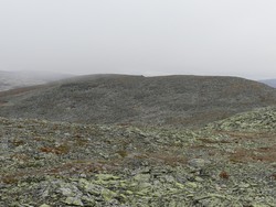 Langhøa