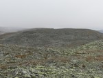Langhøa