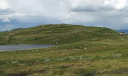 Sauvallnattan