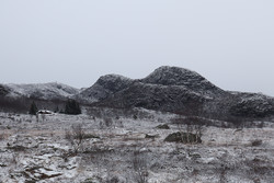 Rundetjørnnuten