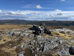 Rørliheia