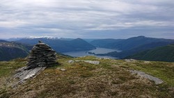 Bjørnsnipa
