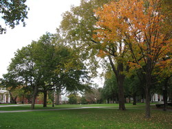 Walnut Hill