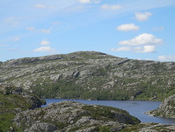 Grønhaug